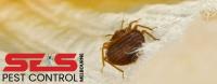 SES Bed Bug Control Melbourne image 2